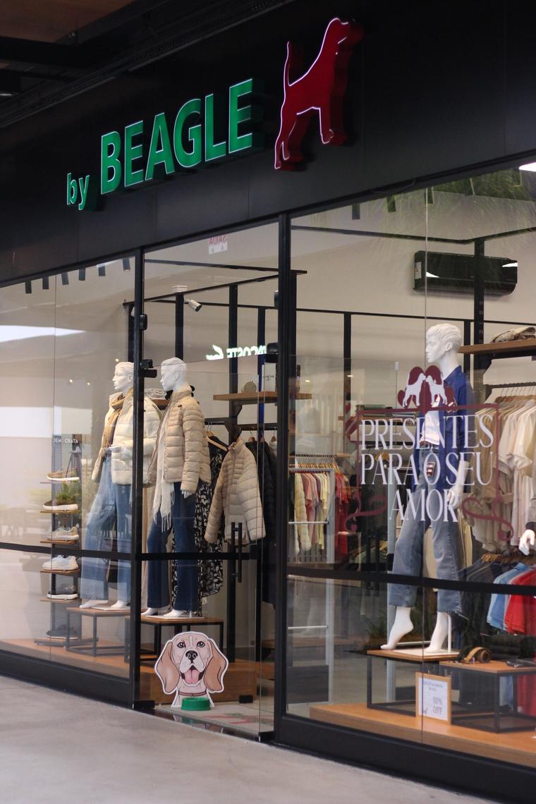 Beagle